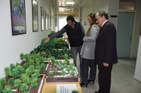 TATİL KÖYÜ - Düzce Üniversitesinde Doğa Ve Bilim Sergisi