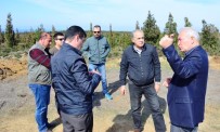 BORU HATTI - Lapseki'de Doğalgaz Çalışmaları Sürüyor