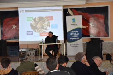 Şarköy'deki Arıcılara Verimliliği Arttırma Eğitimi Verildi
