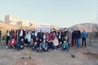 TEKNOPARK - Üniversitede Fidan Diktiler