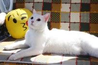 TAKİPSİZLİK KARARI - İşte Muro'nun Son Hali