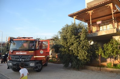 Yaşlı Kadının Evi Yandı