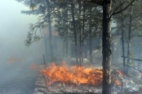 BAHADıR GÜNEŞ - Anız Yangını Ormanlık Alanı Kül Etti
