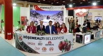 GENÇLİK MECLİSİ - Döşemealtı Belediyesi City Expo'ya Renk Kattı