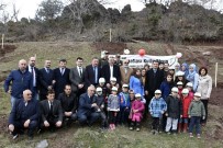 KÜRESEL ISINMA - Gümüşhane'de Orman Haftası Kutlamaları