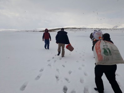 Kars'ta Kuşlara Yem Bırakıldı