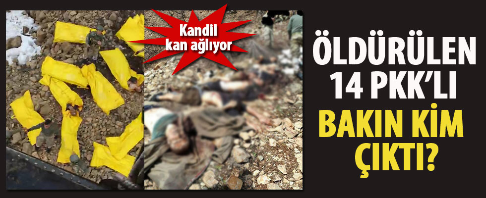 Tunceli'de PKK'ya ağır darbe