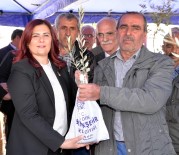 SERGİ AÇILIŞI - Özlem Çerçioğlu Üreticiye Destek Olmaya Devam Ediyor