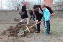 TUZ GÖLÜ - Elazığ'da Öğrenciler, Fidan Dikti