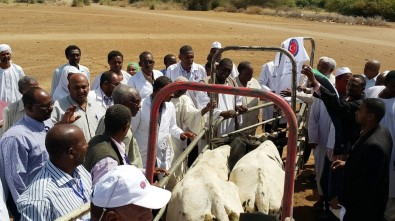 TİKA Sudan Suni Tohumlama Merkezinde Ürün Satışlarına Başlandı