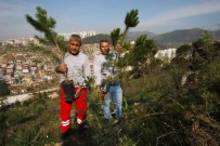 KARABAĞ - Bayraklı'da Ağaçlandırma Çalışması