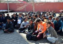 Yabancı Uyruklu 85 Kaçağın Umuda Yolculuğu Muş'ta Son Buldu