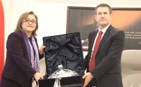 AHMET UZER - Başbakan Yardımcısı Canikli'den Şahin'e Ziyaret