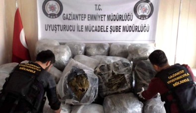 Gaziantep'te 1 Ton Uyuşturucu Ele Geçirildi