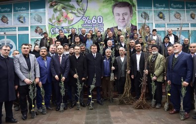 Kahramanmaraş'ta Çiftçiye Fidan Desteği