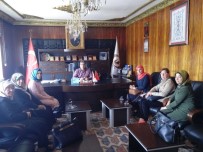 SPOR MERKEZİ - AK Parti Kadın Kolları Çat Kasabasında Referandum Çalışmaları Yaptı