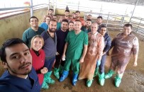 AKSARAY ÜNIVERSITESI - Aydın Suni Tohumlamada Türkiye'nin Eğitim Merkezi Oldu