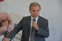 Mehmet Ali Şahin: 'Evet'in oranı yüzde 55'i geçti!