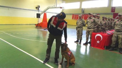 Korucuların Yemin Töreninde Jandarma Köpeklerinin Gösterisi Büyük Beğeni Topladı