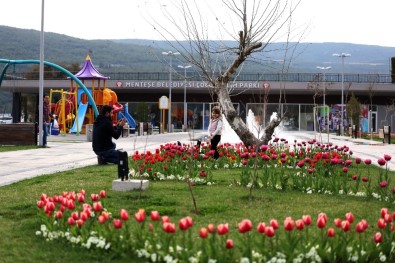 Menteşe 'Lale' Açtı
