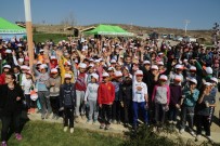 Büyükşehirden Çivril'e 3 Bin 500 Fidan