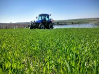 SOYA FASULYESİ - Çiftçilere 4 Milyar 210 Milyon TL'lik Destek Ödemesi