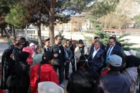HALUK İPEK - Siyasetçiler Turistlere Amasya'yı Anlattı