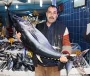 ORKİNOS - Tezgahlarda Orkinos Bereketi