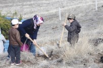 YUNAK BELEDİYESİ - Yunak'ta Fidanlar Toprakla Buluştu