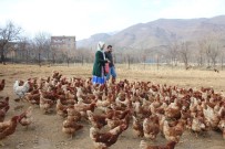 TAVUK ÇİFTLİĞİ - Atanamayan Eşine Destek Olmak İçin Tavuk Çiftliği Kurdu