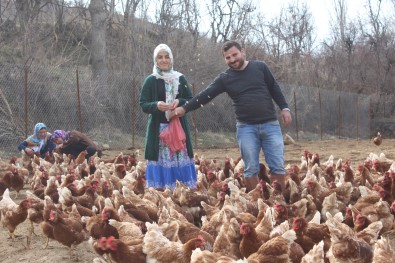 Atanamayan Eşine Destek Olmak İstedi Açıklaması Tavuk Çiftliği Kurdu