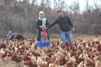 TAVUK ÇİFTLİĞİ - Atanamayan Eşine Destek Olmak İstedi Açıklaması Tavuk Çiftliği Kurdu