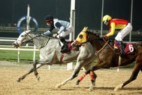 HIPODROM - TSYD Koşusu'nu 'Kırdere' Kazandı