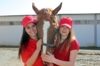 TÜRKIYE JOKEY KULÜBÜ - Elazığ'da Lisanslı Kadın Seyisler Yetişiyor