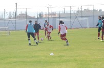 MUSTAFA DENİZLİ - Eskişehirspor'da Erkan Zengin Konusu Çözülemiyor