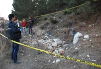 KENT ORMANI - Kütahya'da Cinayet