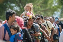 KAÇAK MÜLTECİ - Macaristan'dan mültecilere gözaltı kararı