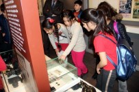 SOY AĞACI - Minik Öğrenciler Geçmişini Müzede Öğreniyor