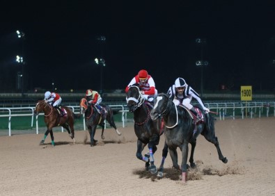 Özgecan Aslan Koşusu'nu 'Mister Strong' Kazandı