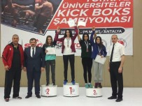 DÜ'den Kick Boksta Büyük Başarı