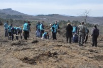 Gebze'de 50 Denetimli Serbestlik Hükümlüsü 5 Bin Fidan Dikti