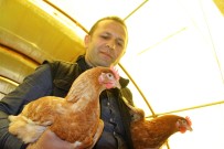 TAVUK YUMURTASI - Ödünç Aldığı 1 Horoz, 2 Tavuk Hayatı Değişti