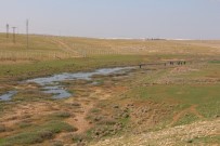 ÇADIRKENT - Suriyelilerin Barındığı Çadırkentin Atık Suyu İle İlgili İnceleme Başlatıldı