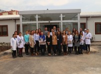 DÜNYA SU GÜNÜ - MESKİ'de Kadınlar Günü Kutlandı