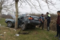 PİTBULL - Otomobil Ağaca Çarptı Açıklaması 1 Ölü, 1 Yaralı