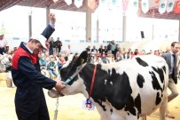 TARIM VE HAYVANCILIK FUARI - 3. Teke Yöresi Tarım Ve Hayvancılık Fuarı