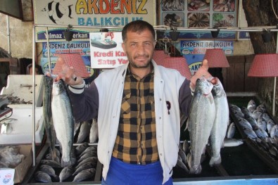 Kilis'te Balık Satışlarında Son Haftaya Girildi