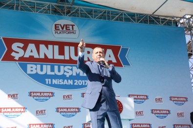 Cumhurbaşkanı Erdoğan'a Fahri Hemşehrilik Beratı Verildi