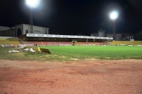 Evkur Yeni Malatyaspor 56 Gün Aradan Sonra Taraftarıyla Buluşacak