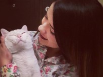 YAVRU KEDİ - Nöbet geçiren kedisine 20 bin lira harcadı